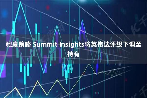 驰赢策略 Summit Insights将英伟达评级下调至持有