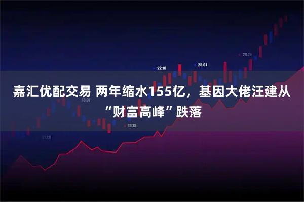 嘉汇优配交易 两年缩水155亿，基因大佬汪建从“财富高峰”跌落