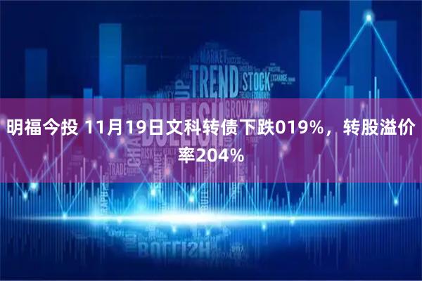 明福今投 11月19日文科转债下跌019%，转股溢价率204%